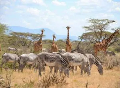 9 Days Africa Safari Vacation Kenya Tour