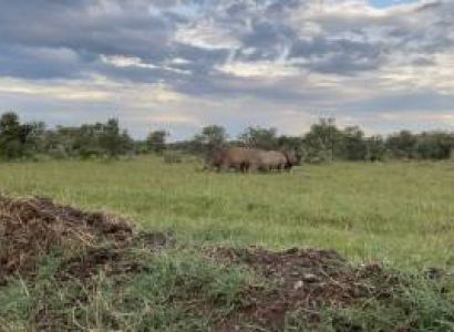 4 Nights Explore Kenya Safari