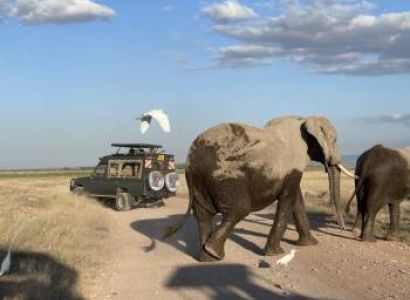 4 Nights Explore Kenya Safari