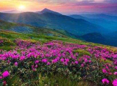 Valley Of Flowers 4 Nights - 5 Days Tour