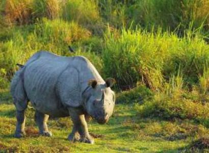 Meghalaya Assam 6 Days 5 Nights