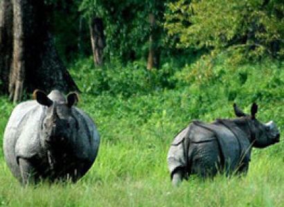 Meghalaya Assam 6 Days 5 Nights