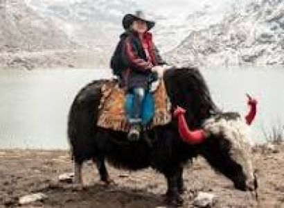 North Sikkim 7Night 8Days