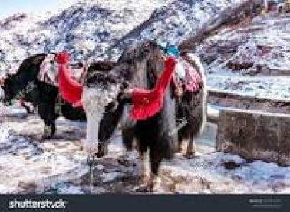 The Splendid Silk Route 4N 5D