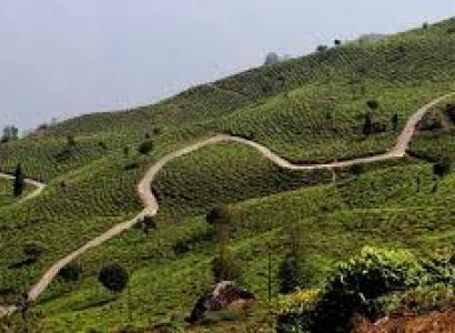 Darjeeling kalimpong Tinchuley 4Night 5Days