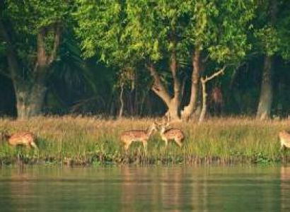 Sundarbans 2 Night 3 Days