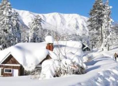 Valley Of Flowers 4 Nights - 5 Days Tour