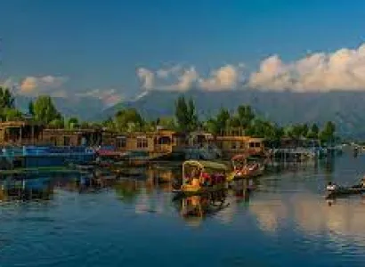 Kashmir Tulip Garden Best Time Tio Visit