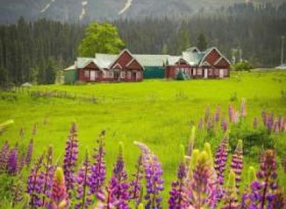 5 Nights 6 Day Kashmir Tour Package