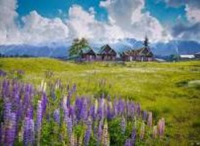 8 Day 7 Nights Kashmir Tour Package