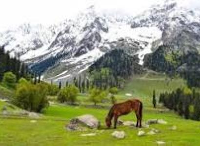 5 Nights / 6 Days Kashmir Tour Package