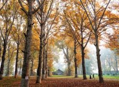 5 Nights / 6 Days Kashmir Tour Package