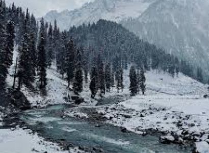 Best of Kashmir | Free Shikara Ride in Dal Lake
