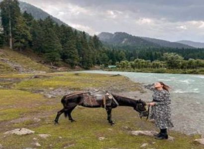 Best of Kashmir | Free Shikara Ride in Dal Lake