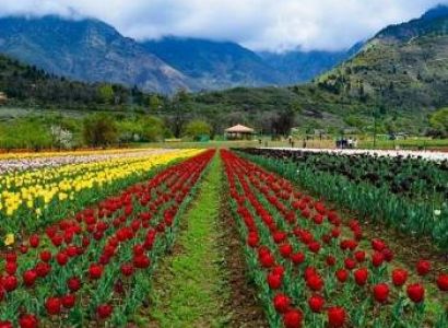 4N - 5D Kashmir Tour Package