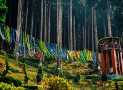 Rishop - Ramdhura - Chota Mangwa - Lepchajagat Tour 4N 5D