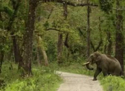 Dooars 4Night - 5Days Tour