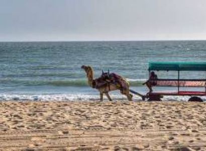 Gir Somnath Tour Packages