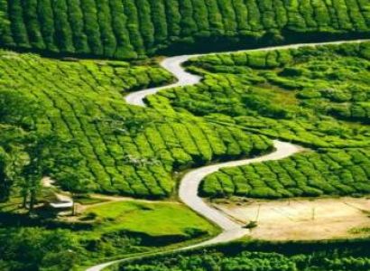Thekkady sightseeing packages