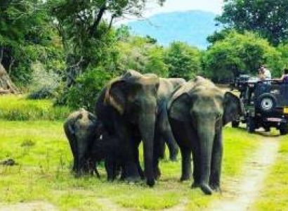 Thekkady sightseeing packages