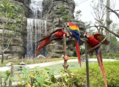 Singapore Sensation 4 Nights - 5 Days Tour