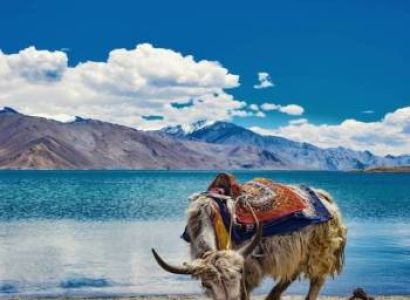 5N 6D Leh Ladakh Discovery Package