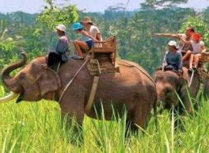 Adventure Family Getaway 3 Nights Package