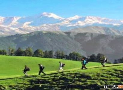 4 Nights - 5 Days Dayara Bugyal Trek Tour