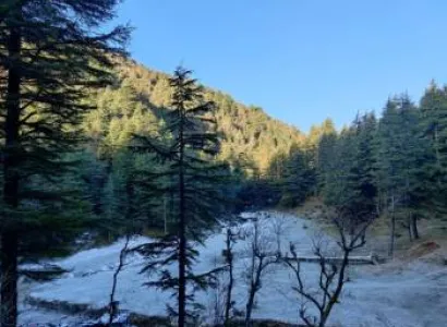 Dhanaulti Tour Packages