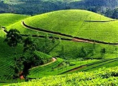 4 Days Munnar - Alleppey Tour Package