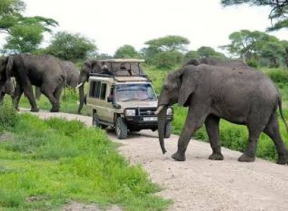 Tarangire Day Trip