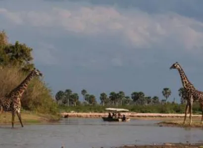 Selous Udzungwa 6 Day Safari Tour