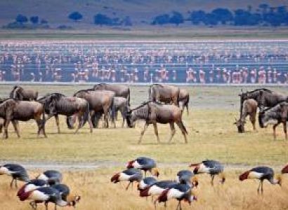 Manyara Tour Packages