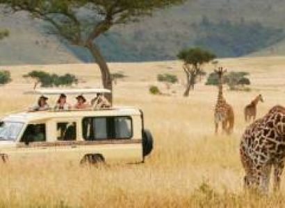 Manyara Tour Packages