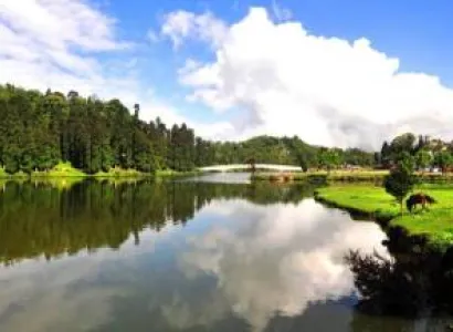 4N - 5D Darjeeling Tour Package