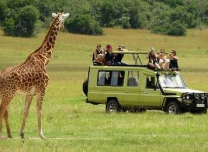 11 Night - 12 Day Wildlife Safari Tour Package