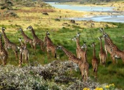 6 Day Big Five Mid-Range Safari To Serengeti - Ngorongoro Crater Tour