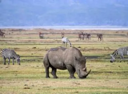 3Day Tarangire - Ngorongoro - Lake Manyara Budget Safari Tour