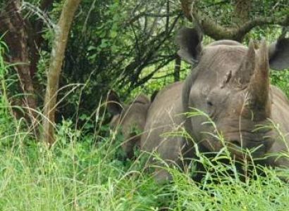 13 days 12 nights in Tarangire, Serengeti, Ngorongoro Conservation area