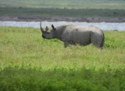 13 days 12 nights in Tarangire, Serengeti, Ngorongoro Conservation area