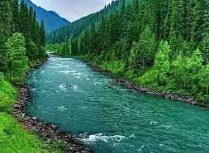 4N - 5D Family - Royal Paradise 4 Star Package