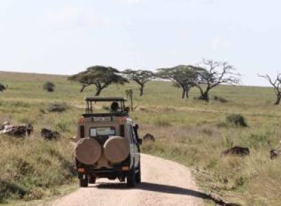 7 Day Incredible Migration Safari With River Crossing Tour