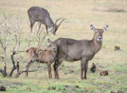 2Days Arusha And Tarangire Adventures Tour