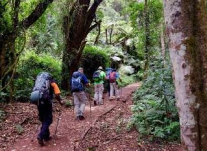 Lemosho Route - 12 Days Mount Climb Tour