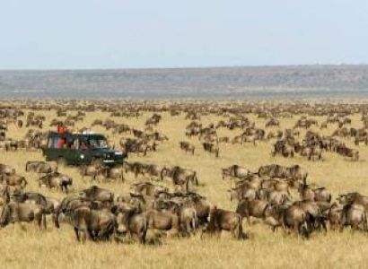 3 Days - 2 Nights Masai Mara Safari Tour