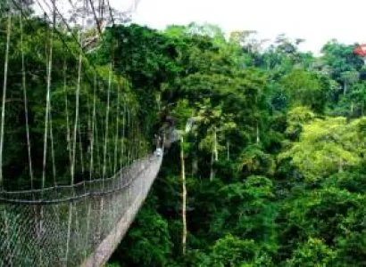 9 Days Across Rwanda-Nyungwe-Volcanoes-Akagera Experience Tour