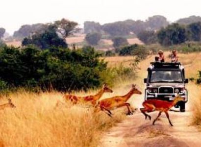 Kampala Tour Packages