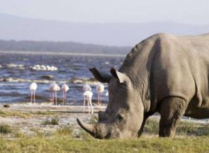 9 Days Of Kenya And Tanzania Tour