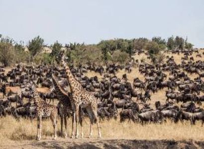 Manyara Tour Packages