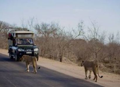 8 Days Cape Town Kruger National Park Vaal Water Tour